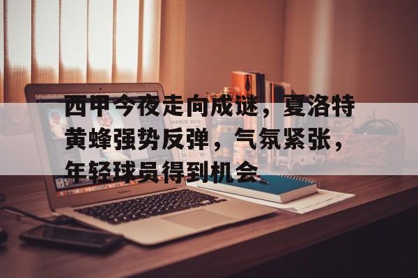爱游戏app-西甲今夜走向成谜，夏洛特黄蜂强势反弹，气氛紧张，年轻球员得到机会的简单介绍